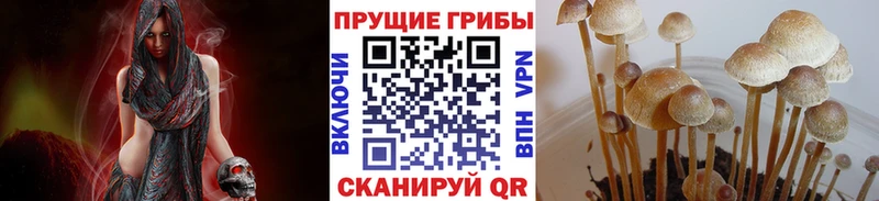 Псилоцибиновые грибы прущие грибы  omg маркетплейс  Красноперекопск 